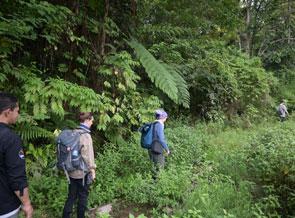 Credit Radinal Caption "Disturbed forest areas near Mane village, Aceh Province" The nursery picture could also be used as the main picture for the project.