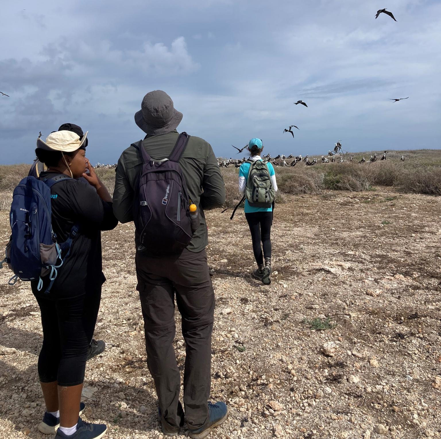 UKCEH and Anguilla National Trust staff observe birds on Dog Island, Anguilla