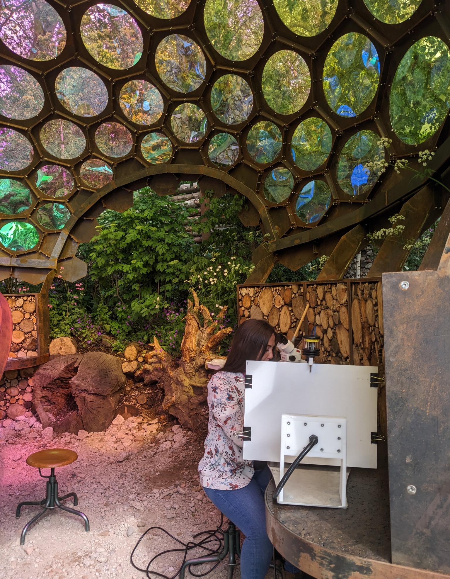 Scientist Alba Gomez Segura sits at the AMI-trap moth station in the RES Garden at Chelsea