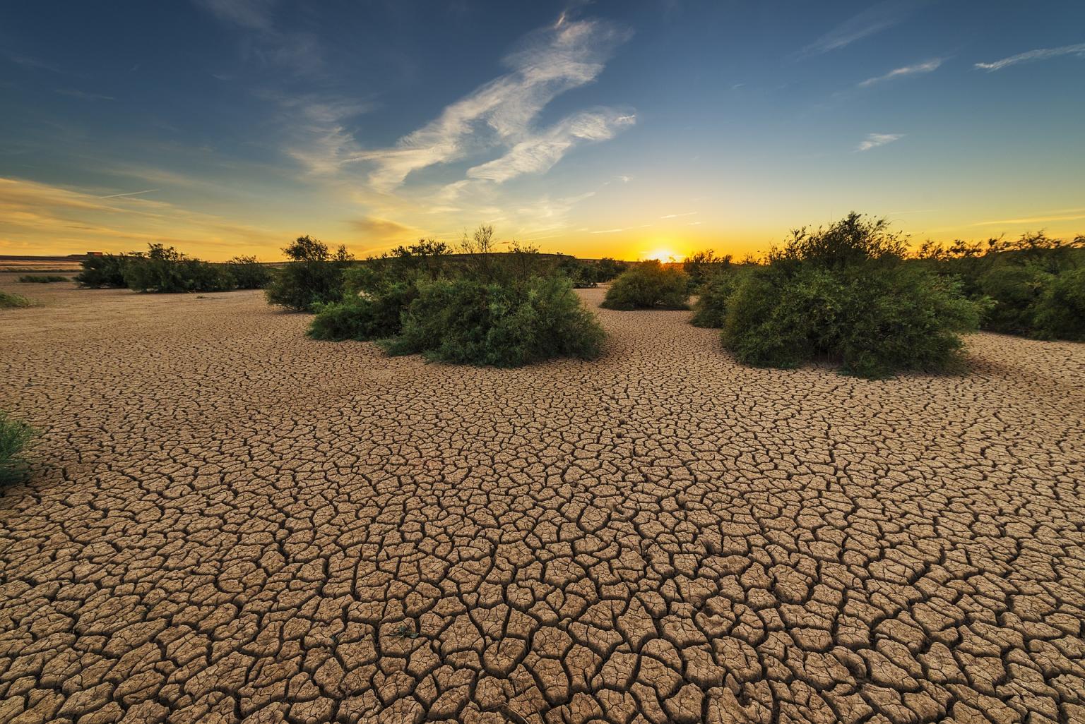 drought training course