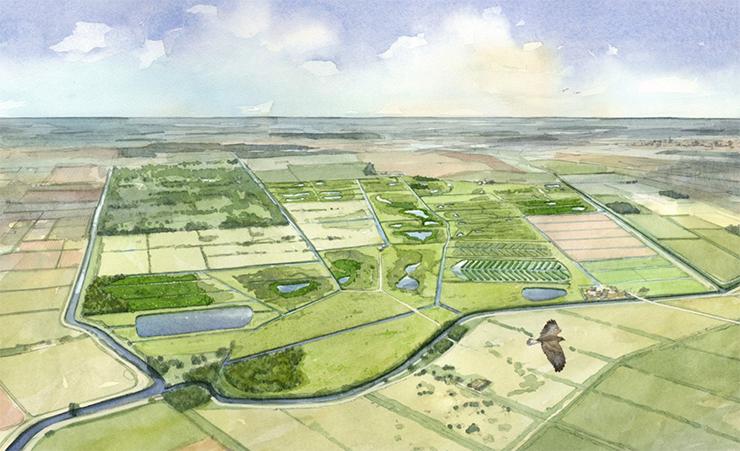 Artist's impression of Speechly's Farm transformed by the Peatland Progress vision