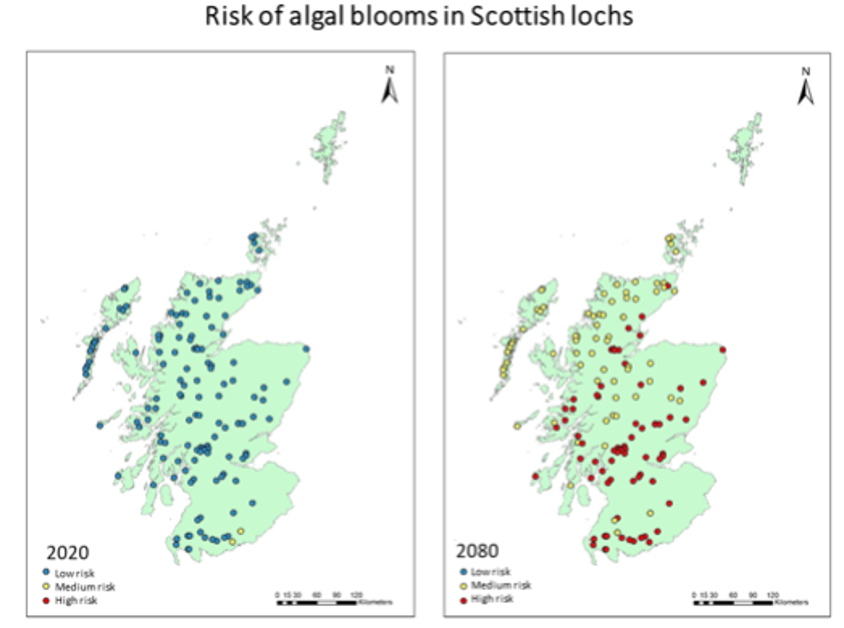 Two maps of Scotland indicating risk levels of algal blooms in Scottish lochs in 2020 and 2080