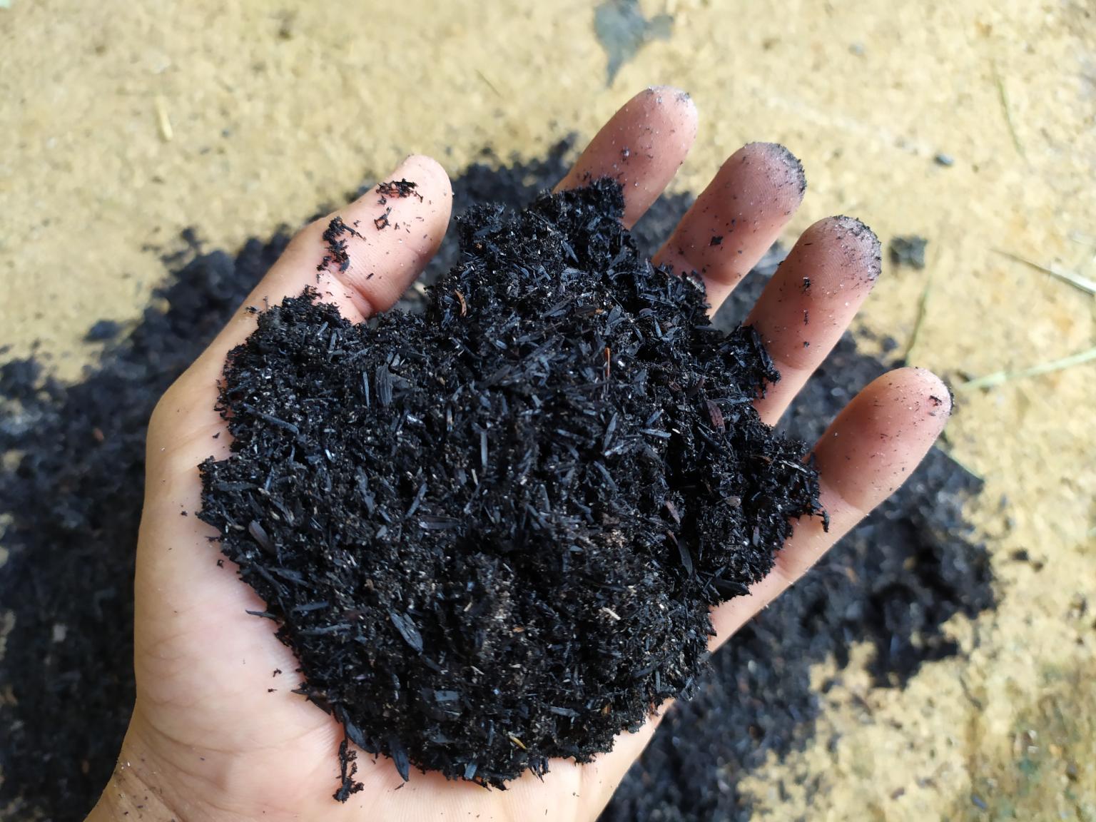 biochar