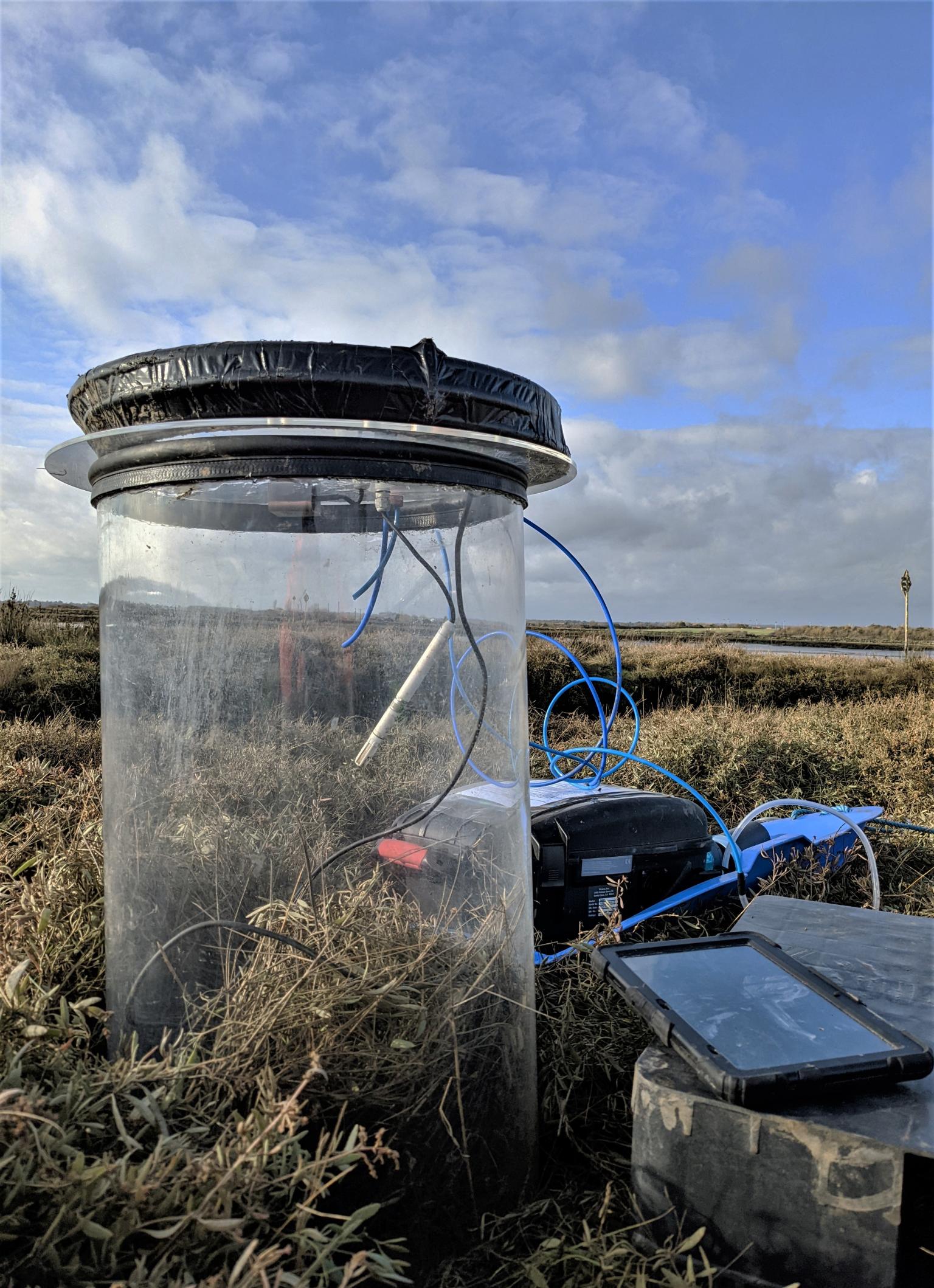 A perspex cylinder envelopes a cluster of purslane and grasses, sensors dangling from the insive of the lid are connected to a black box in the background, the Picarro greanhouse gas analyser. On a plastic palette beside the chamber sits a tablet which gives a live view of the data being collected.