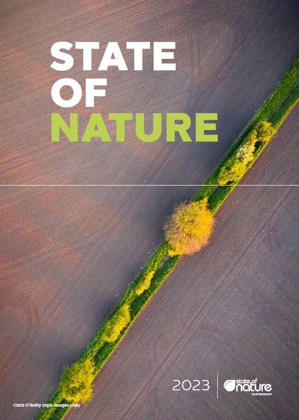 Aerial shot of narrow hedgerow splitting 2 agricultural fields and the title State of Nature