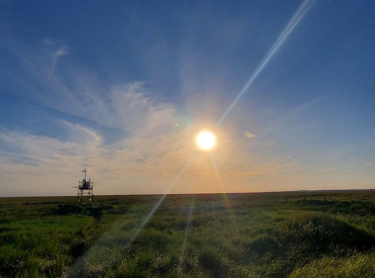 Flux tower on saltmarsh landscape in the Ribble estuary with evening sun