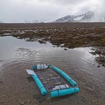 Floating baskets on a river in the Arctic