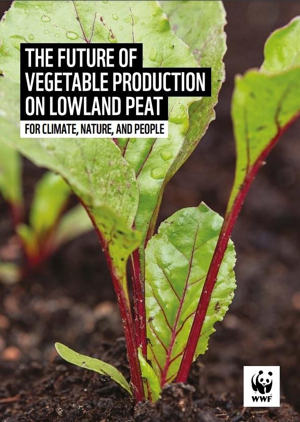 Veg on lowland peat report