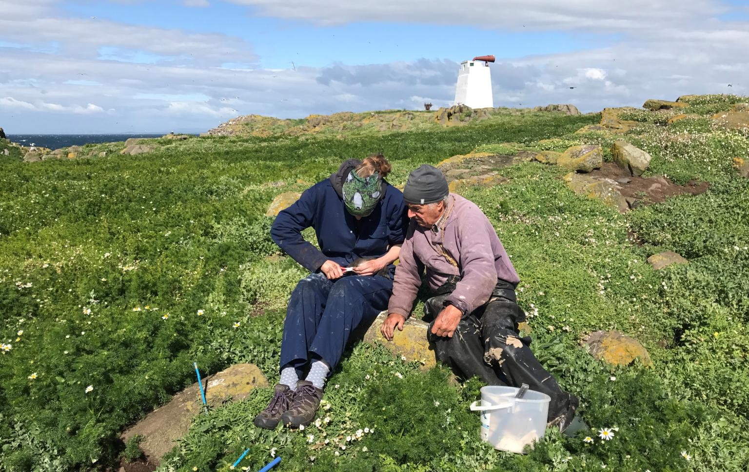 Mike Harris helps a student with ringing on the Isle of May