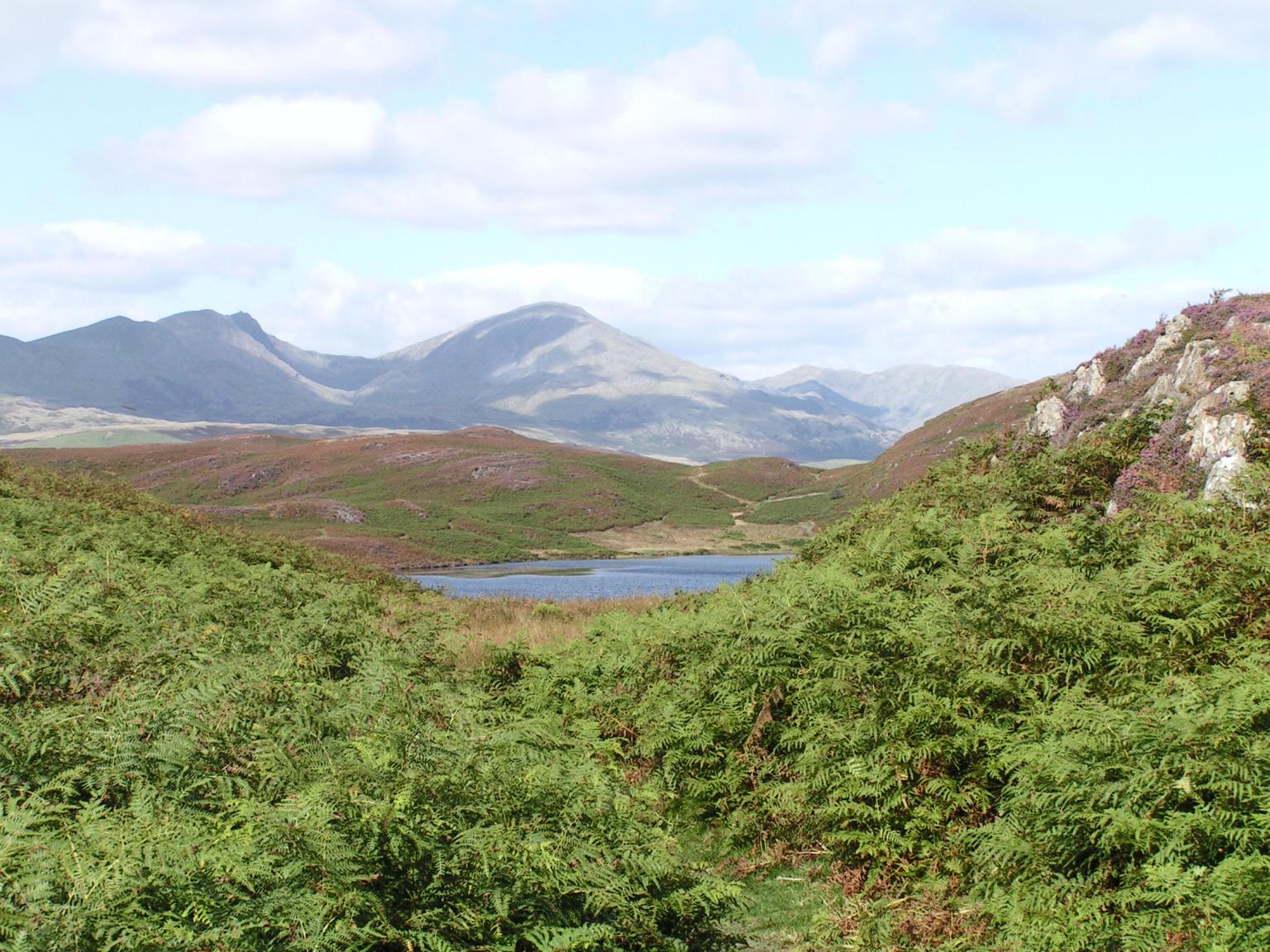 Mountain scenery radioecology new course hero image _Cath Barnett.png