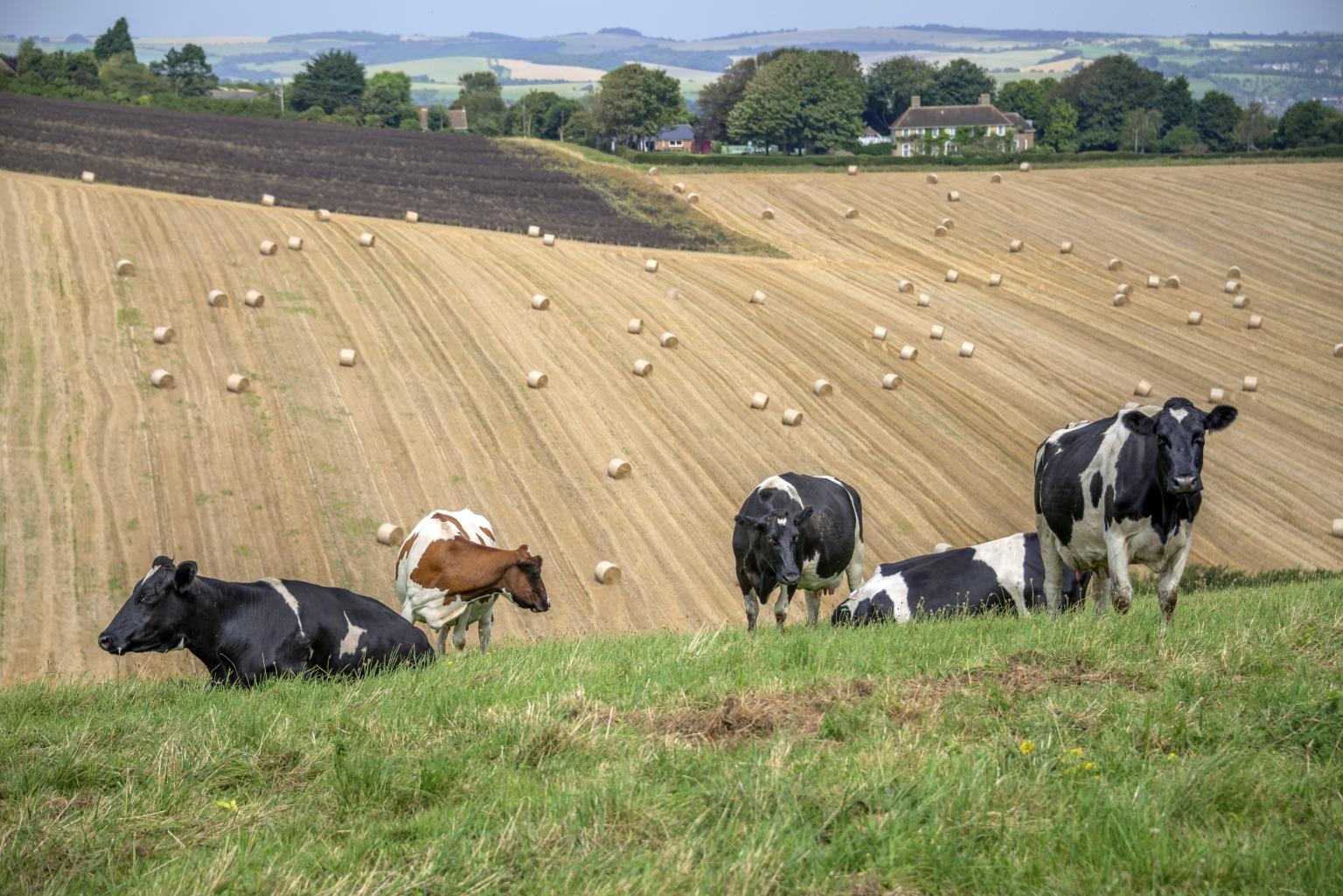Farming landscape. Photo: Shutterstock