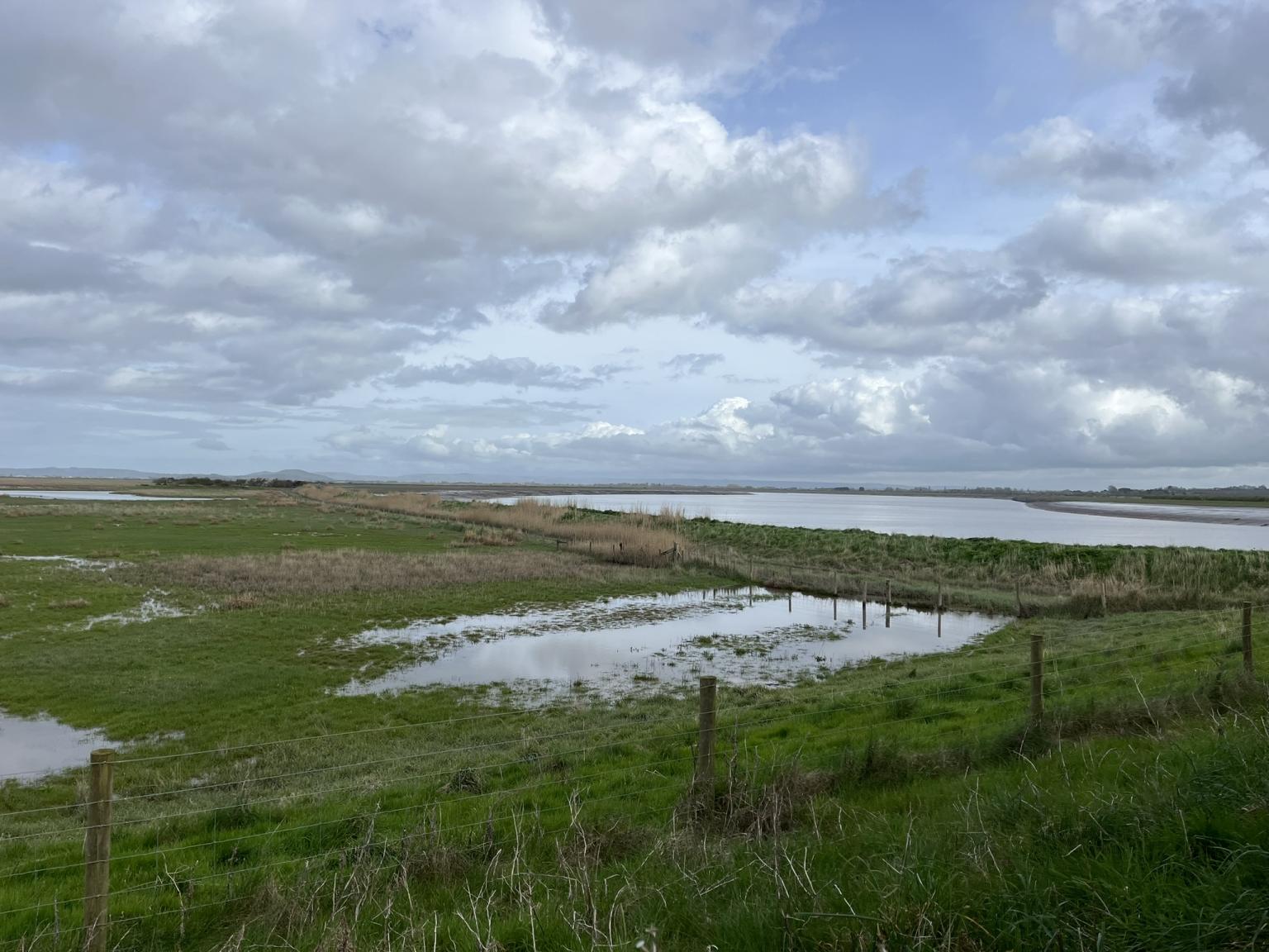 WWT Steart Marshes