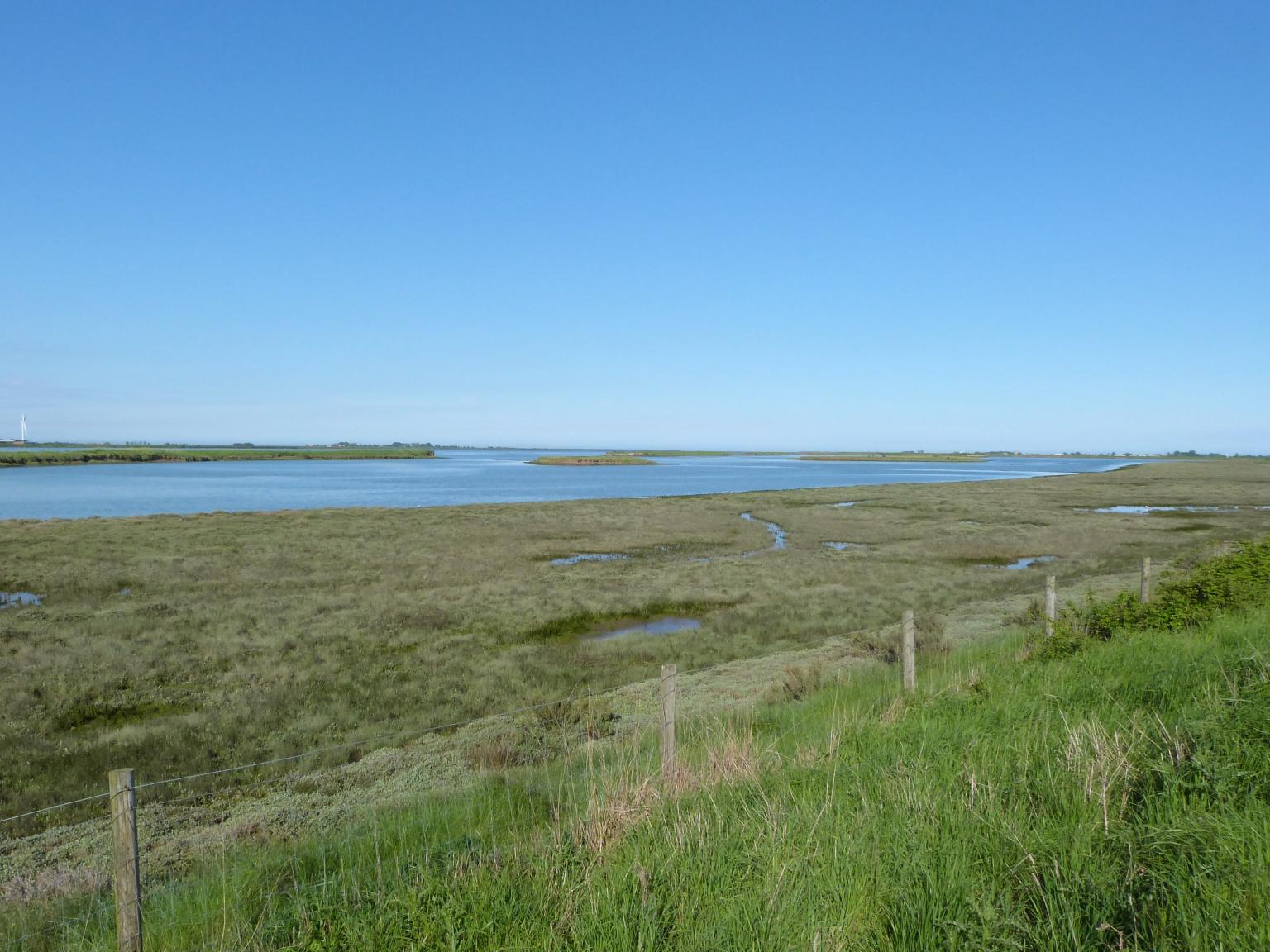 Restored saltmarsh at Wallasea. Photo: Stefanie Carter