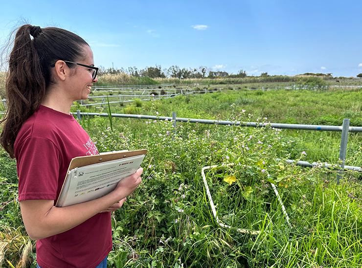 Carrying out a pollinator survey in Cyprus