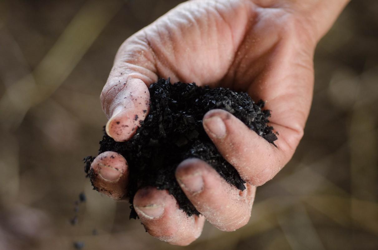 Biochar.