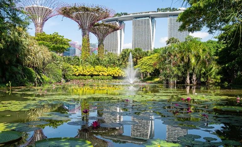 Garden at Marina Bay, Singapore. Photo: Danijel-MihajlovicCC BY-SA 4.0