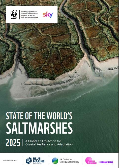 State of the World's Saltmarshes report
