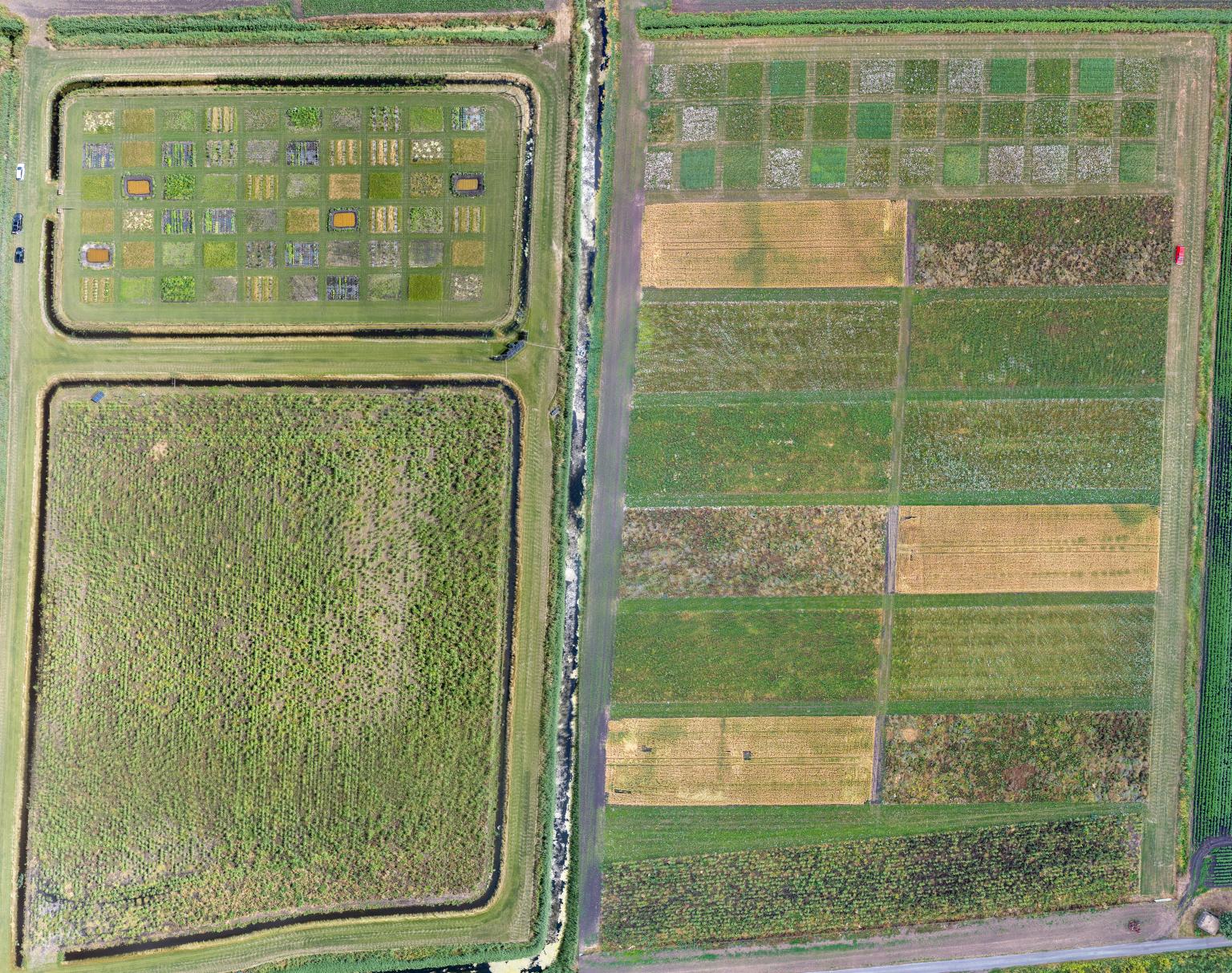 Aerial image of the field trials site