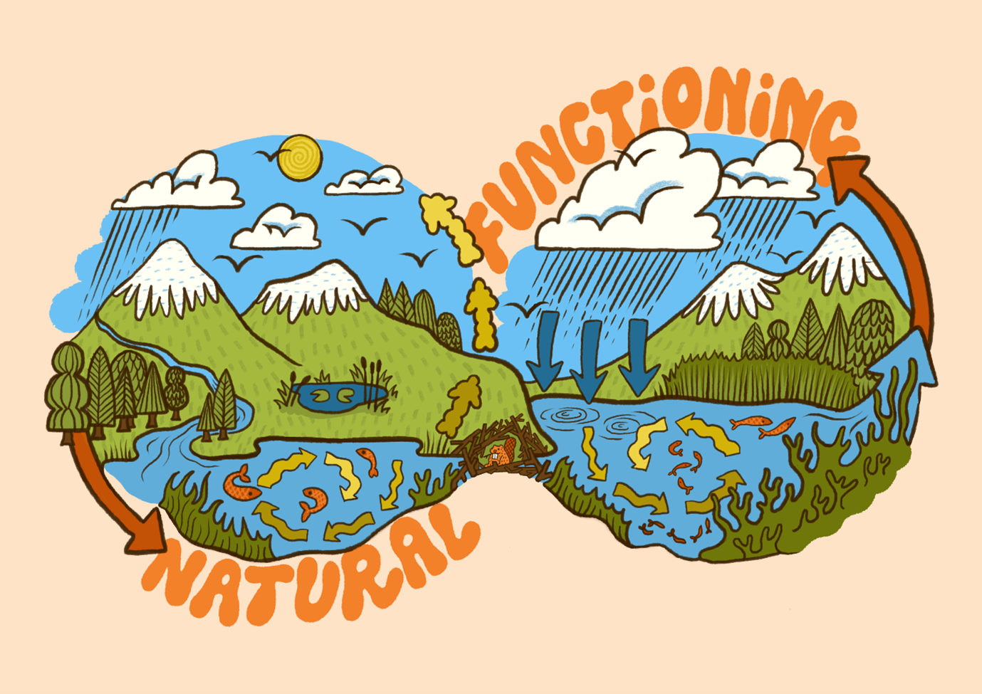 Illustration showing water cycle and biodiversity in a lake setting