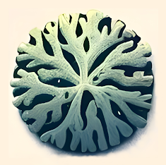 Illustration of lichen