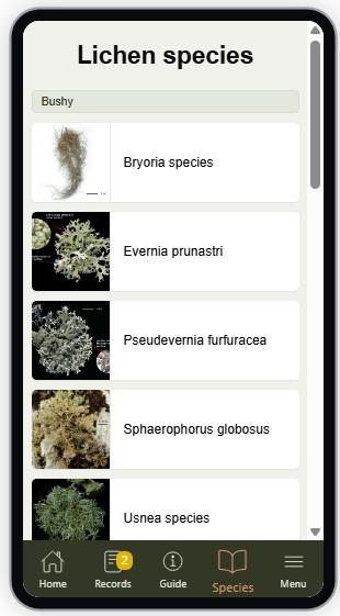 Screengrab from LicheN app showing a list of lichen species