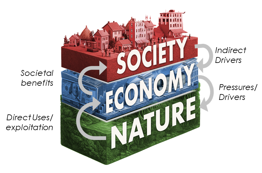 3 layered diagram showing the links between nature, economy and society