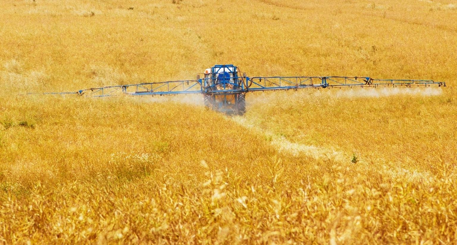 Agricultural image in a field