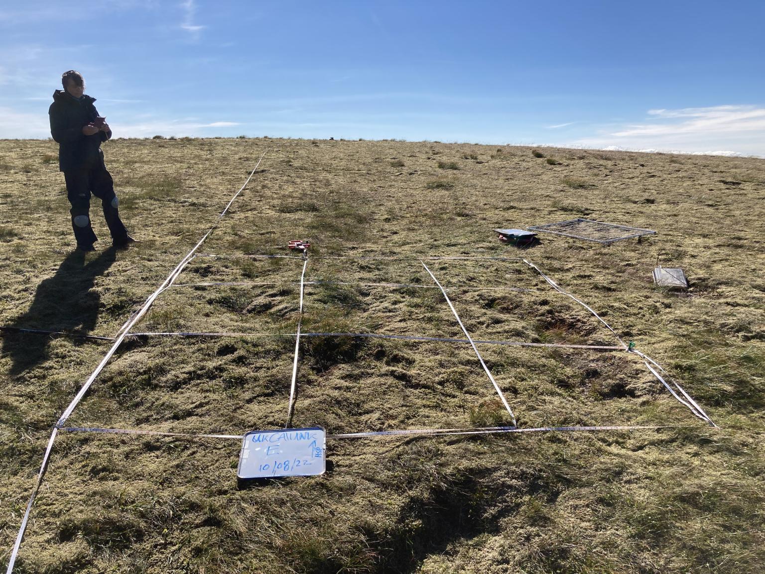 Person next to vegetation monitoring site 