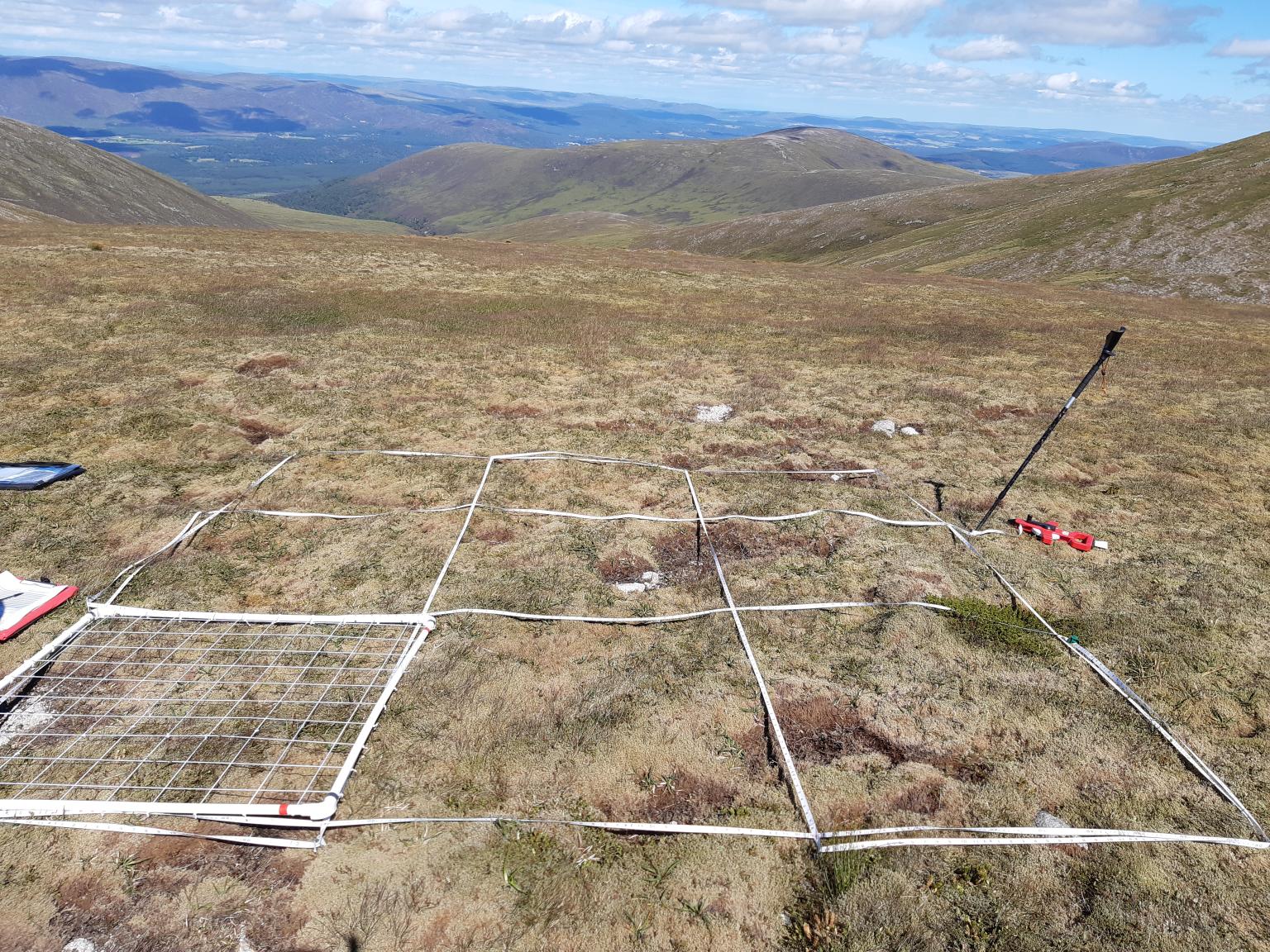 Quadrats sets out across mountain vegetation