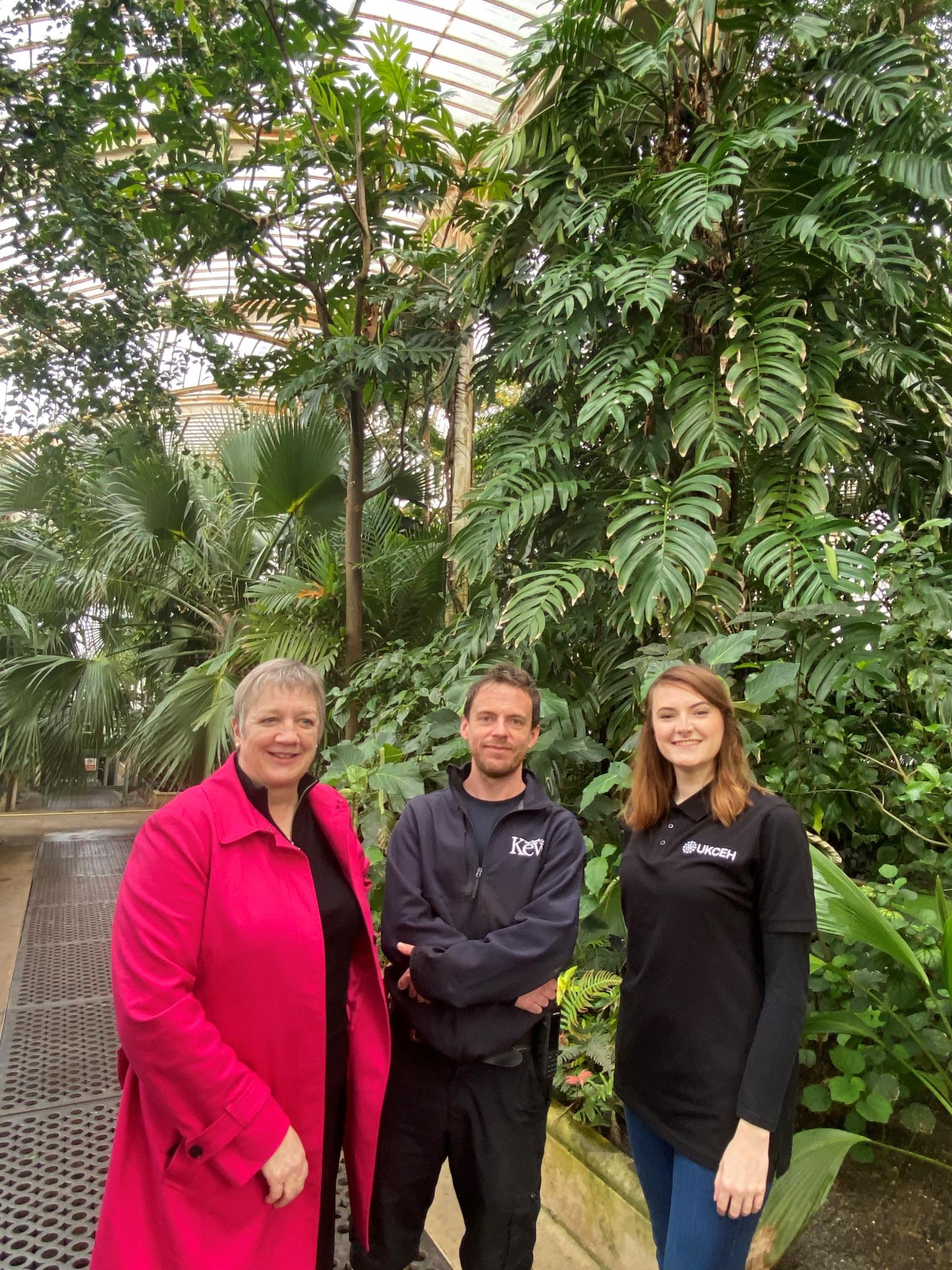 Three people in a greenhouse