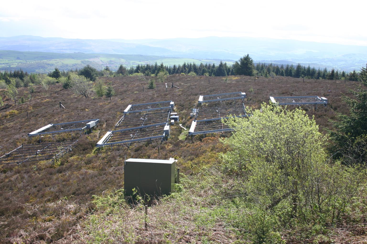 Experiment site on heathland