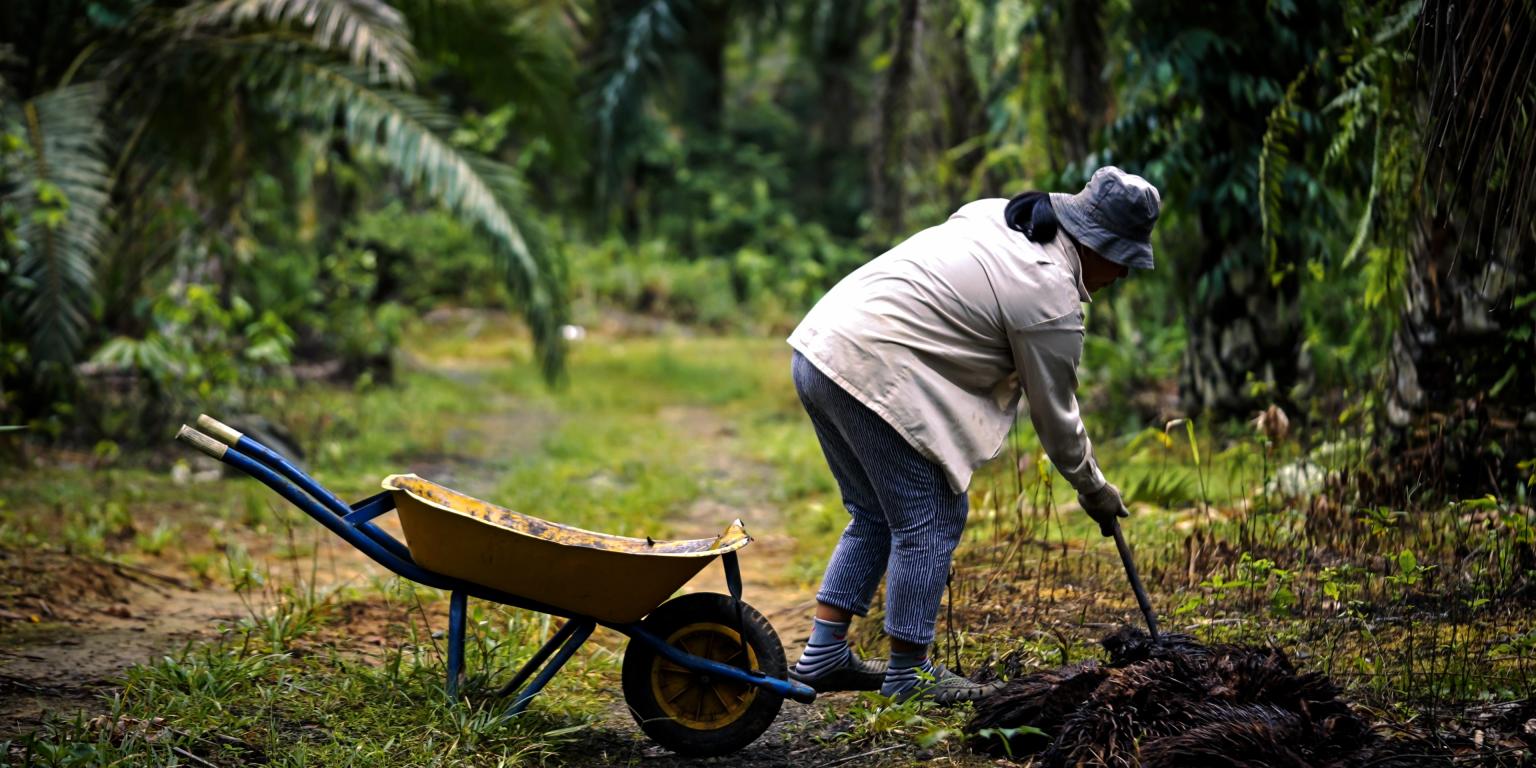 Lady putting vegetation onto soil