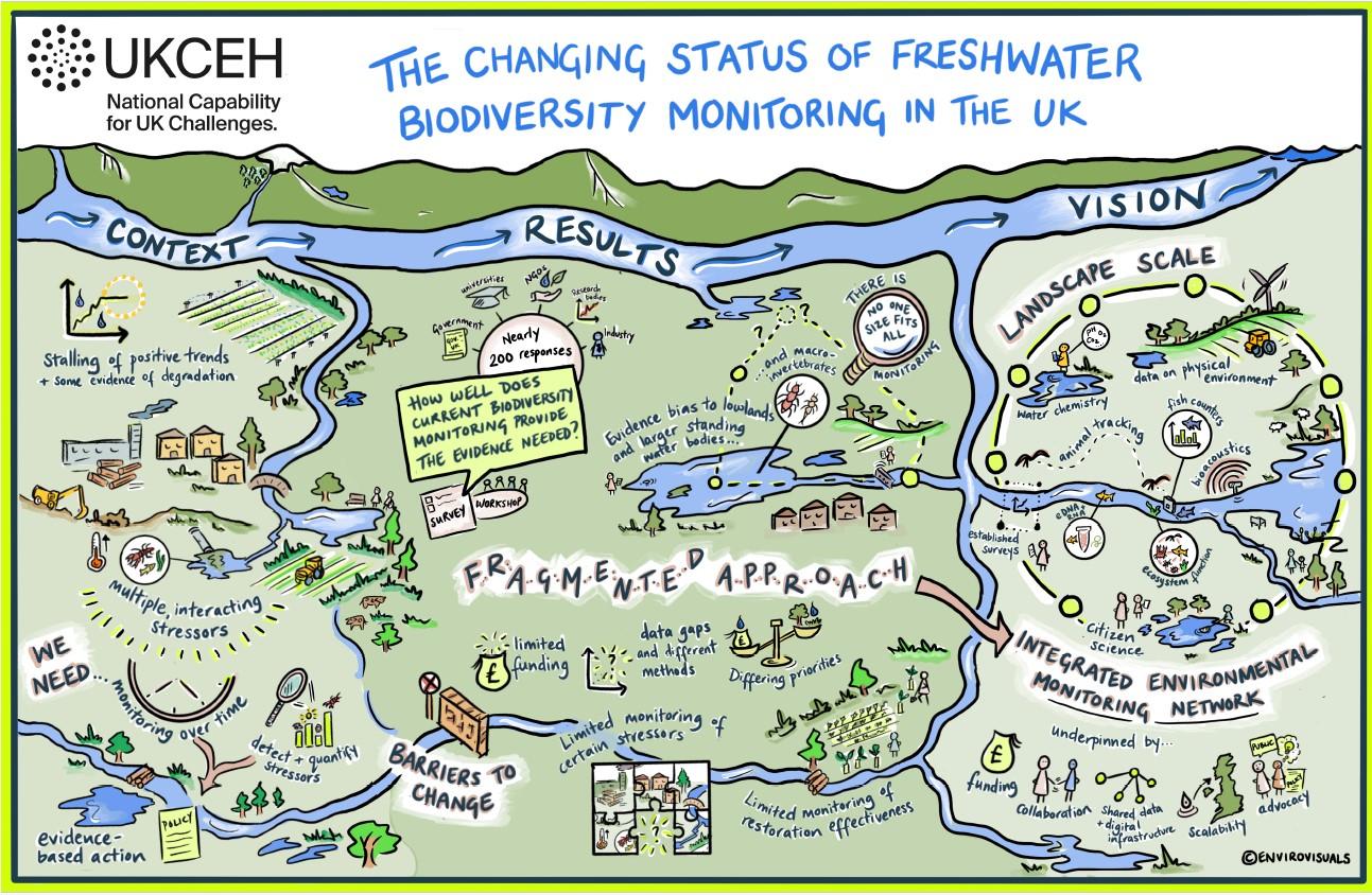 Overview graphic with all the different descriptors raised in the workshop and survey, with a water landscape behind