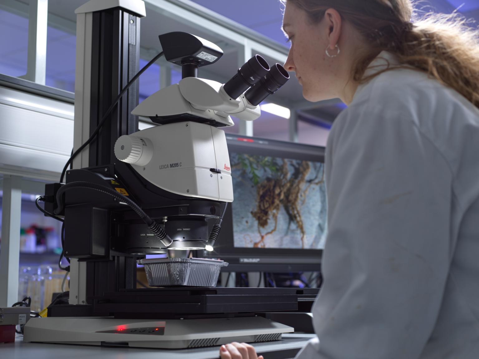 Woman looking into a microscope
