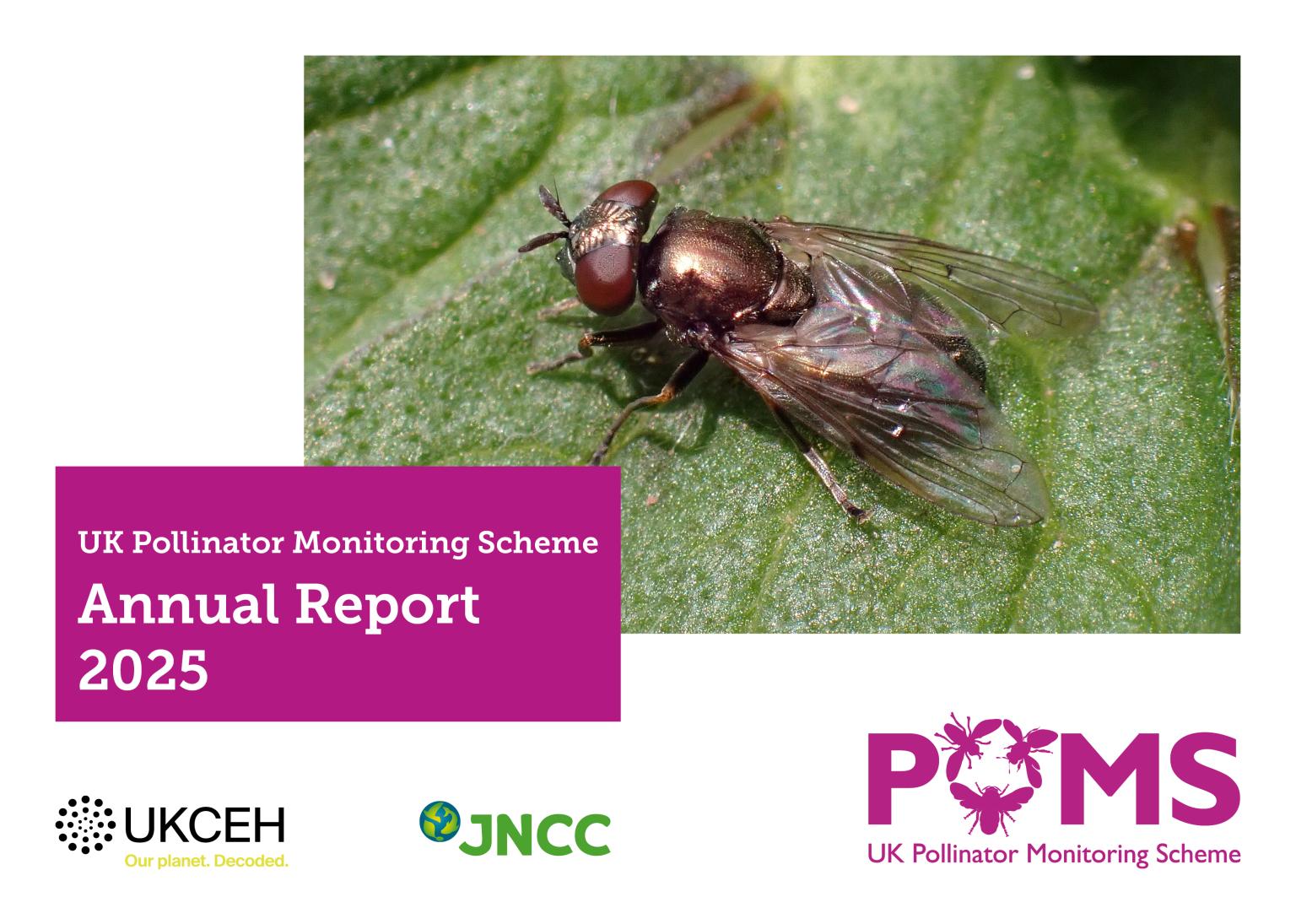 Image of a report with an insect on it