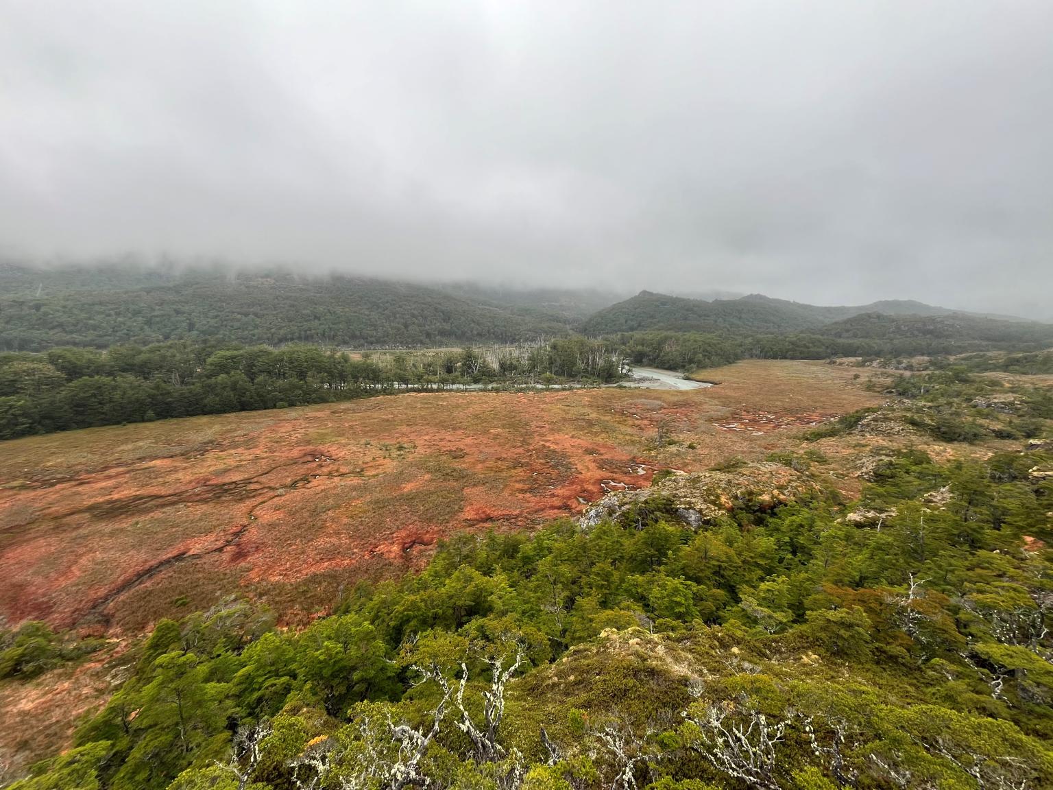 peatland landscape