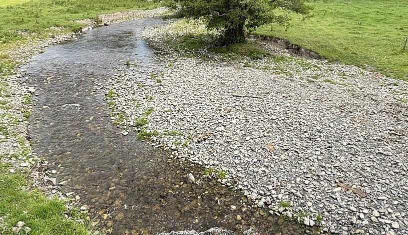 Afon Iwrch, Powys, in June 2025. Photo: John H Darch CC BY-SA 2.0