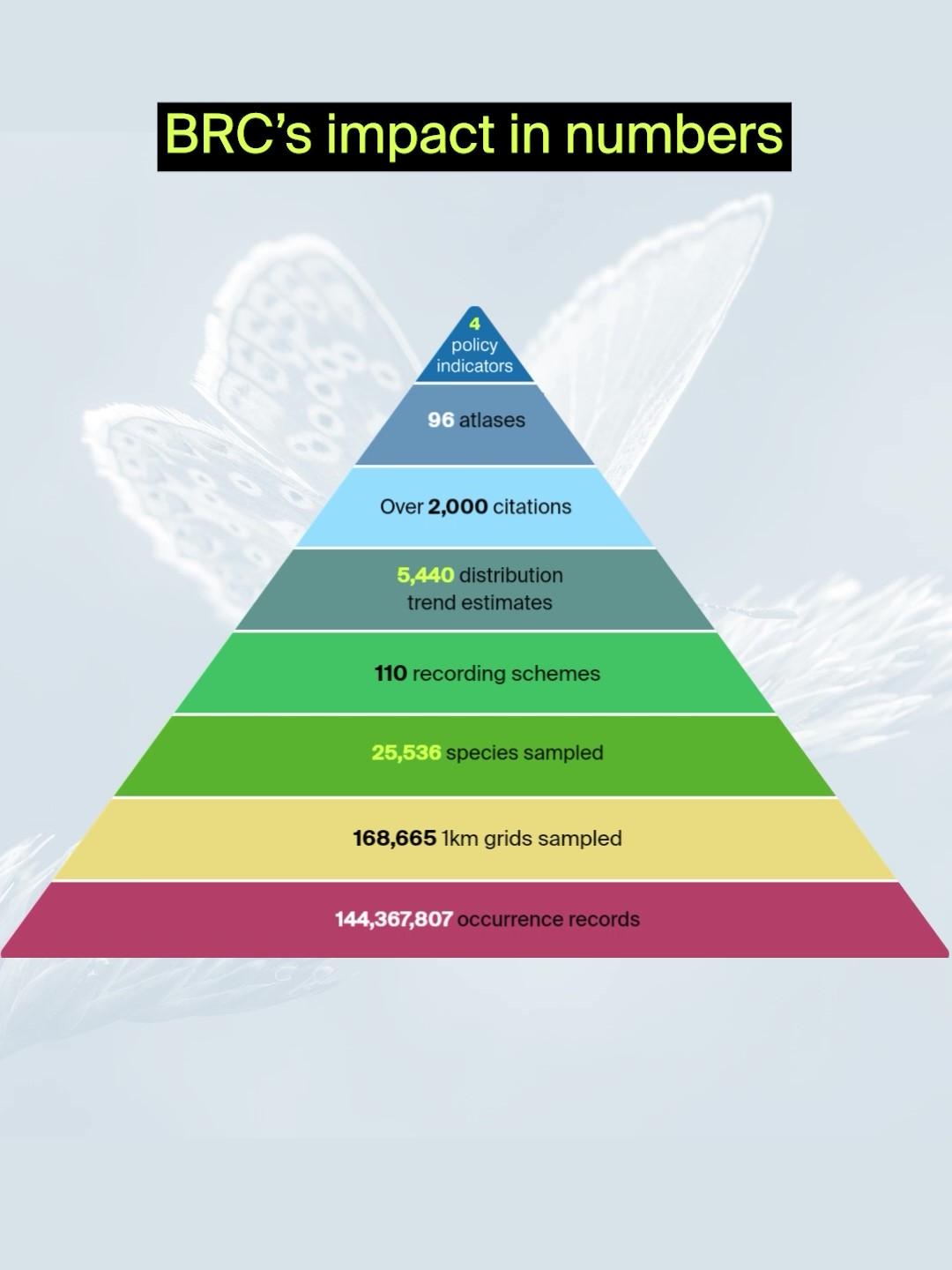 Multi-coloured pyramid diagram