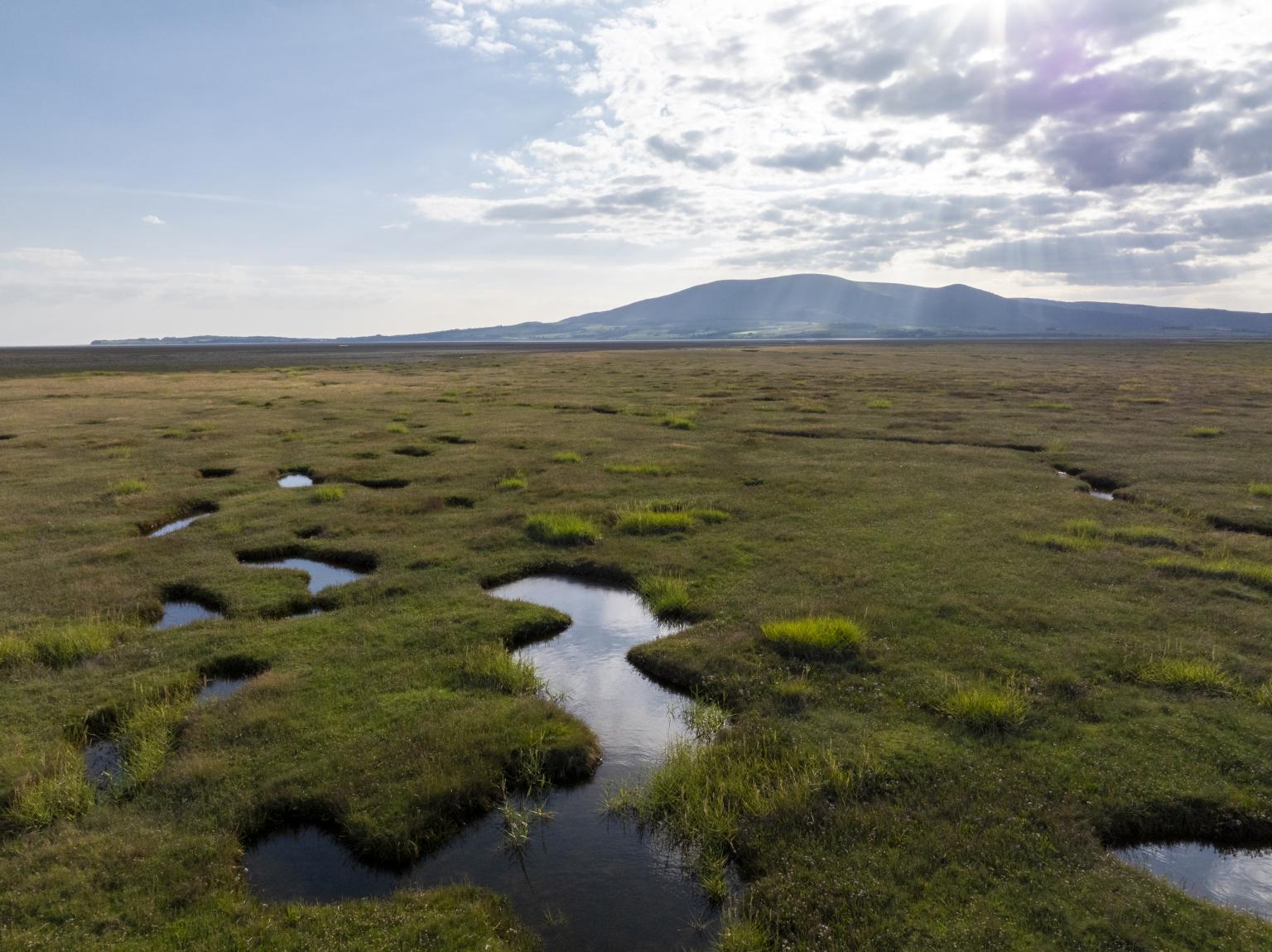 Saltmarsh with mountains and sky in background
