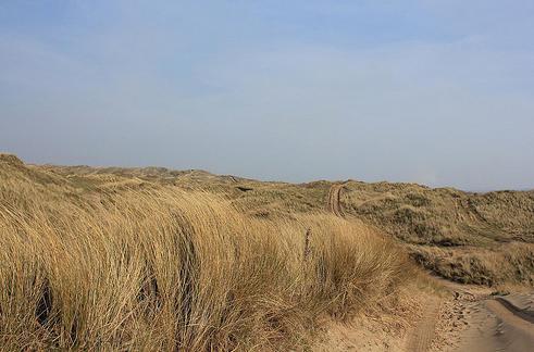 CEH has been involved in ecohydrological investigations at Braunton Burrows in North Devon