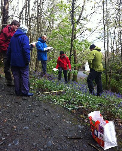 National Plant Monitoring Scheme surveyors in action