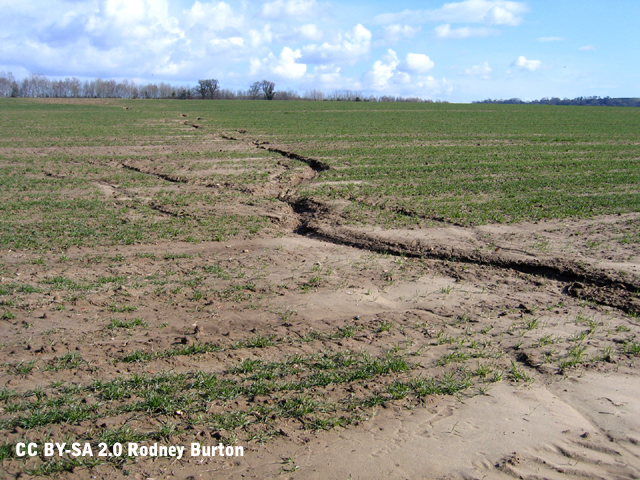 Rills descend through light soils