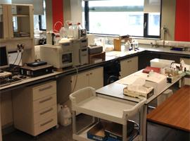 Analytical chemistry laboratory at Wallingford