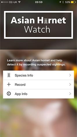 Homepage from the Asian Hornet Watch app