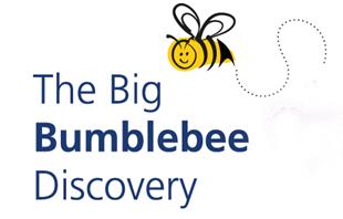 The Big Bumblebee Discovery logo