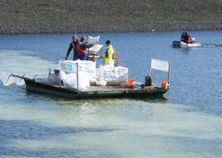 Applying lanthanum-bentonite clay to Clatto reservoir