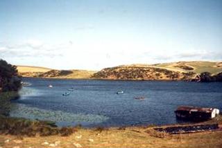 Coldingham Loch