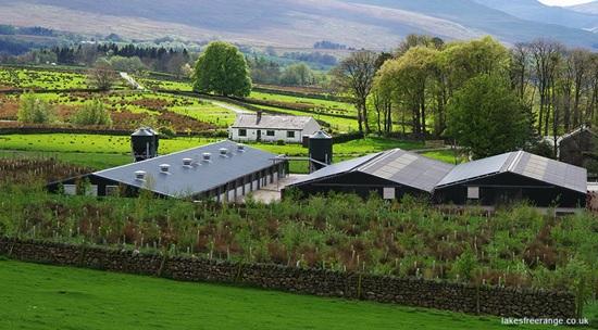 Trees can mitigation pollution from animal housing Picture: lakesfreerange.co.uk