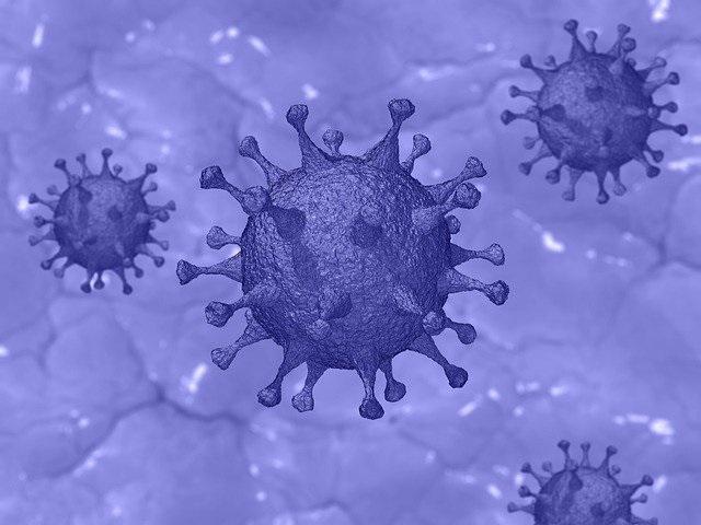 Covid-19 virus Picture: Pixabay