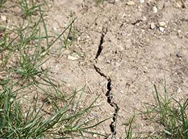 Drought-affected dry ground